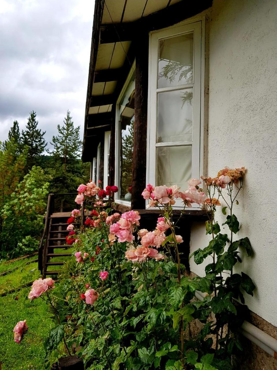 The Patagonian Lodge Coyhaique Eksteriør billede